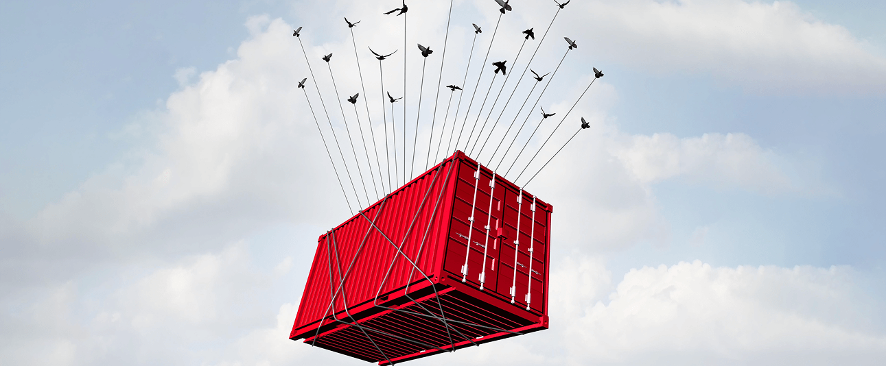 Supply Chain & Distribution
